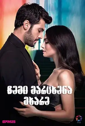 ჩემი მარცხენა მხარე (ქართულად) / Sol Yanim / chemi marcxena mxare