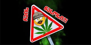 რაის ნასოსი? (ქართულად)