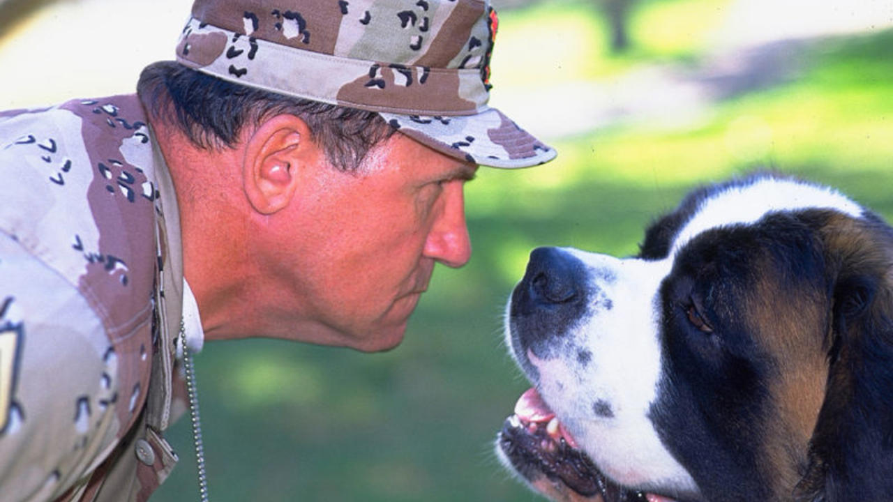 ბეთჰოვენი 4 / Beethoven's 4th (ქართულად) ბეთჰოვენი 4 / Beethoven's 4th (ქართულად)