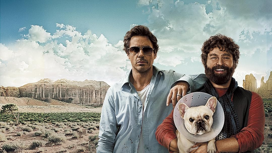 დანიშნული ვადა / Due Date  (ქართულად)