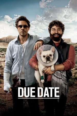 დანიშნული ვადა / Due Date  (ქართულად)