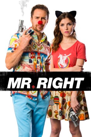 მისტერ სამართლიანი /  Mr. Right (ქართულად)