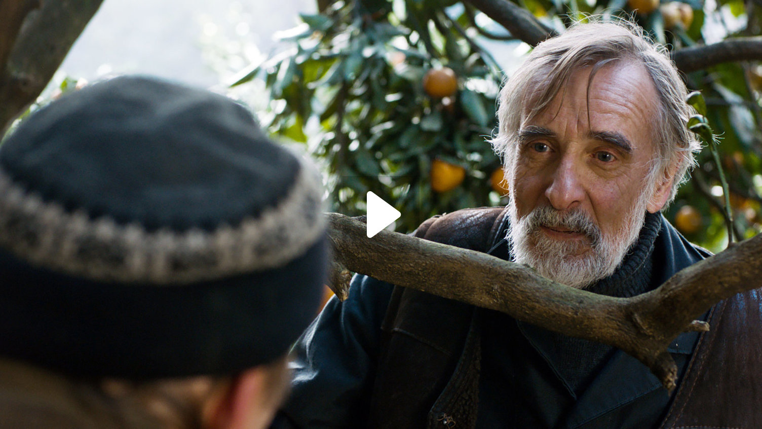 მანდარინები / Tangerines  (სუბტიტრებით) მანდარინები / Tangerines  (სუბტიტრებით)