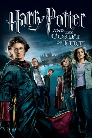 ჰარი პოტერი და ცეცხლოვანი თასი / Harry Potter and the Goblet of Fire (ქართულად)